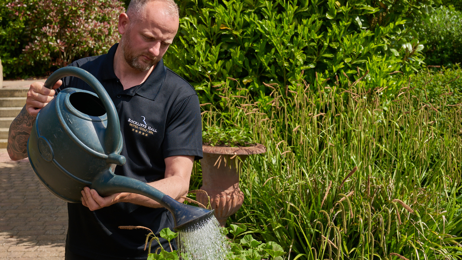 Winter Gardening Tips