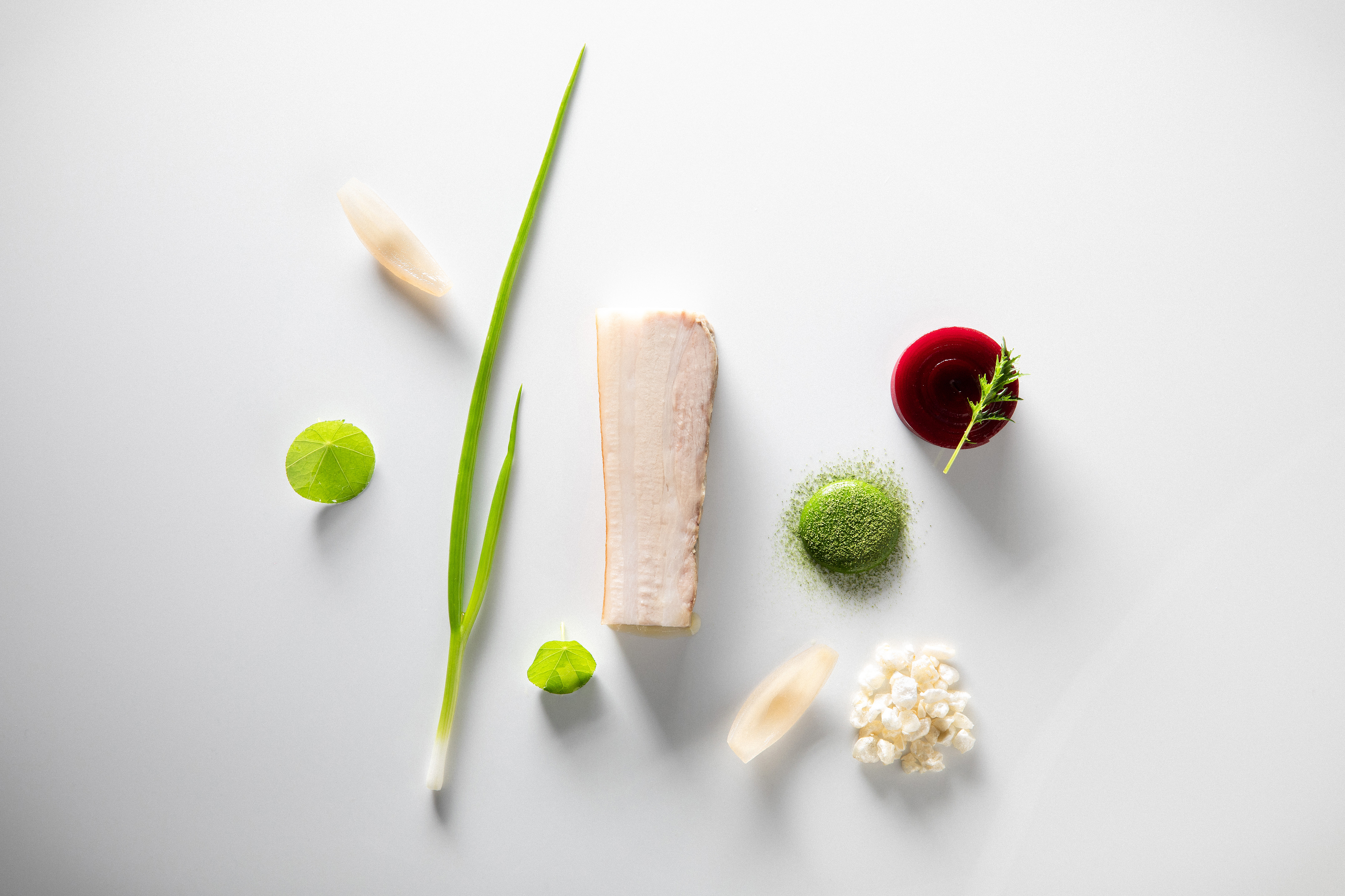 The Orangery at Rockliffe Hall joins The MICHELIN Guide 2023