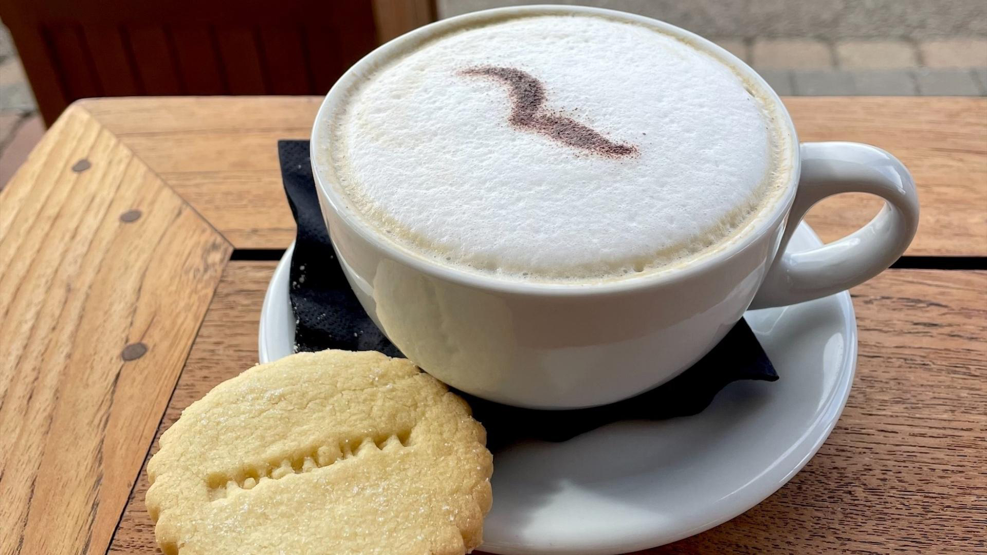 Rock Star Of the Month July 2022